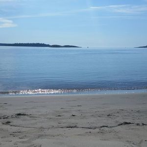 Meet your Posher, Jean